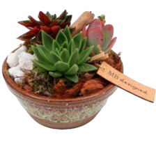 Bollen arrangementen 10,-